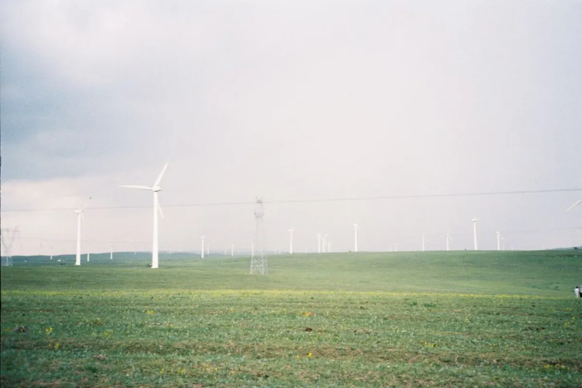 国产资源网酸汤肥牛不翻车